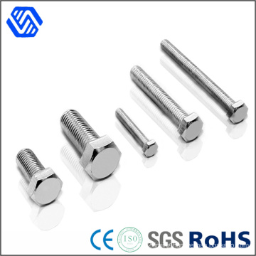 Auto Parts Stainless Steel Bolt Mirror Polish Screw Bright Hex Bolt